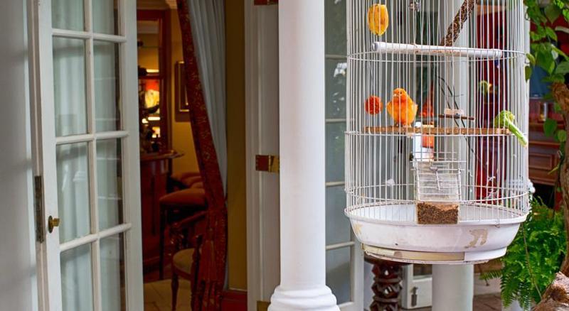 The Munro Boutique Hotel Johannesburg Esterno foto